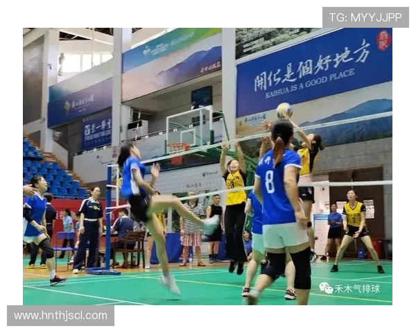 广州排球队灵活性变革引发热议助力竞技水平提升与战术创新